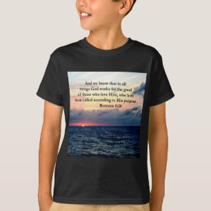CAMISETA DISEÑO DE RUMANOS INSPIRADORES 8:28