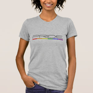Camiseta Diseño limpio moderno Orgullo y bandera del arcoír