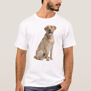 Camiseta Diseño único de Labrador