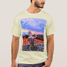 Diseños Dragonware y Kidtastic