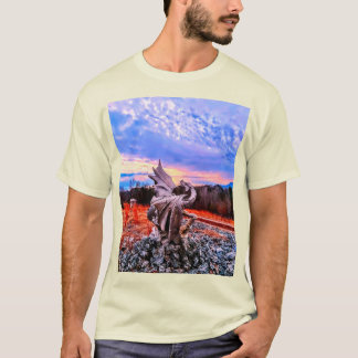 Camiseta Diseños Dragonware y Kidtastic