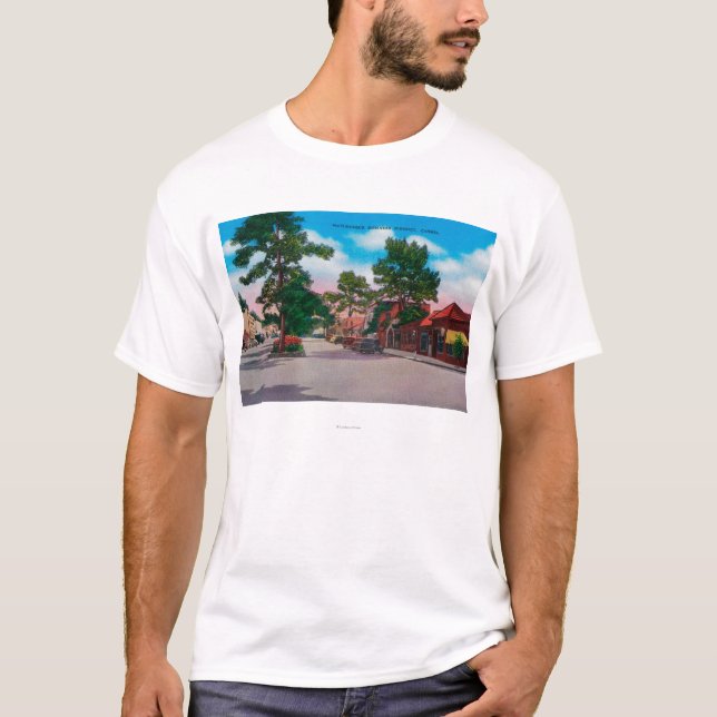 Camiseta Distrito financiero pintoresco, Carmel (Anverso)