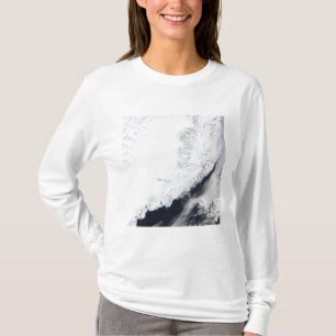 Camiseta Diversos tipos de hielo marino