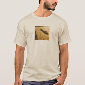 camiseta divertida