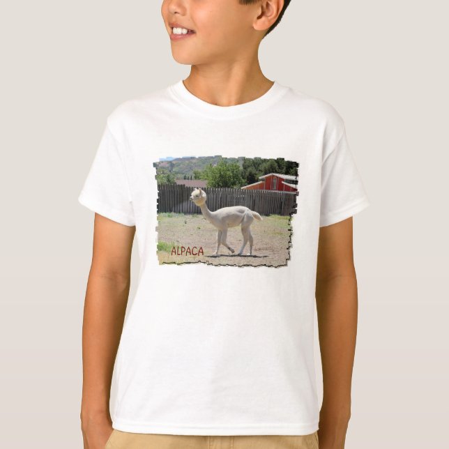 Camiseta divertida de la alpaca (Anverso)