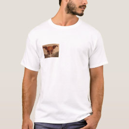 Camiseta divertida de perro, regalo para amantes d