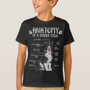 Camiseta Divertido Anatomy Border Collie Dog Lover