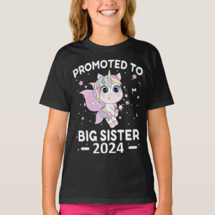Camiseta Divertido ascenso a Gran Hermana 2024