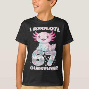 Camiseta Divertido tengo ajolote 67 preguntas seis siete ni