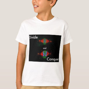 Camiseta Divida y conquiste