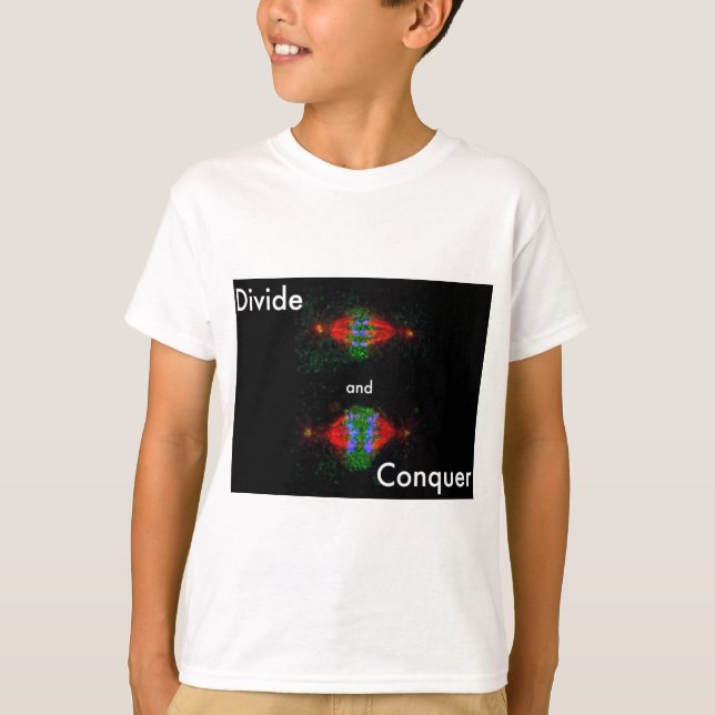 Camiseta Divida y conquiste (Anverso)