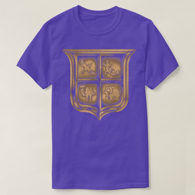 CAMISETA DIVINE SHIELD (Diseño del anverso)