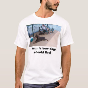 Camiseta Dobermans, éste… ¡Es cómo los perros deben vi