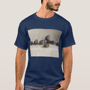 Camiseta Doce ciruelos