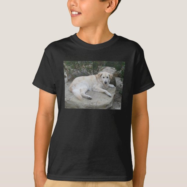 Camiseta Dog Resting On A Rock (Anverso)