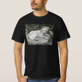Camiseta Dog Resting On A Rock