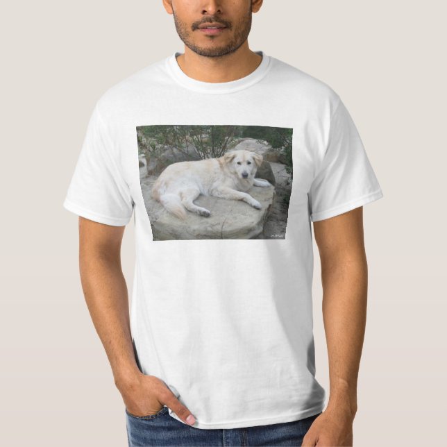 Camiseta Dog Resting On A Rock (Anverso)