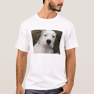 Camiseta dogo argentino.png