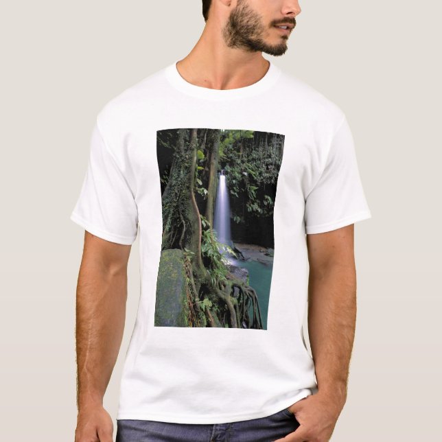 Camiseta Dominica, Estanque Esmeralda, Cascada. (Anverso)