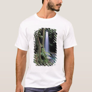 Camiseta Dominica, Estanque Esmeralda, Cascada.