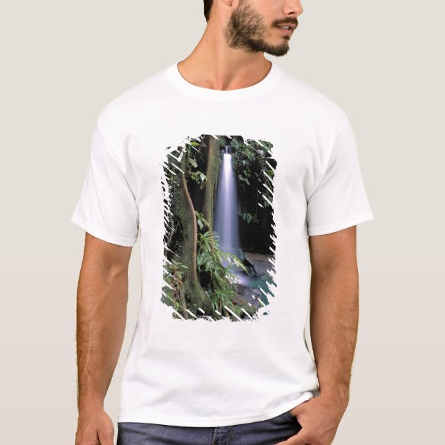 Camiseta Dominica, Estanque Esmeralda, Cascada. (Anverso)