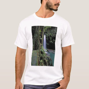 Camiseta Dominica, Piscina Esmeralda, Cascada.