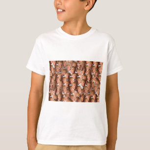 Camiseta donald drumpf