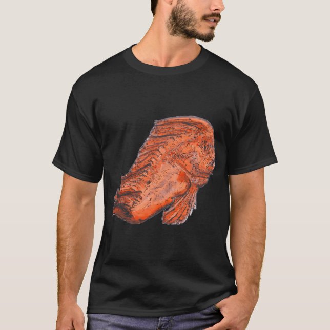 Camiseta Donald el pez indio rojo (Anverso)