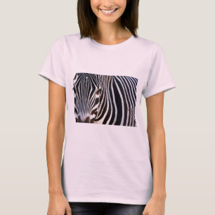 Camiseta ¿Dónde Está La Cebra?