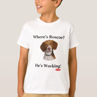 ¿Dónde está Roscoe?