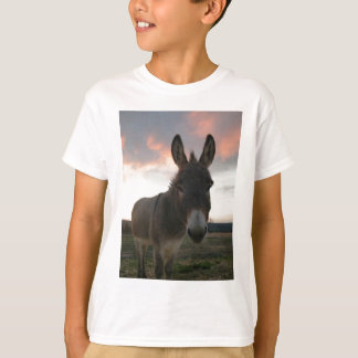 Camiseta Donkey Art