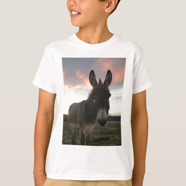 Camiseta Donkey Art (Anverso)