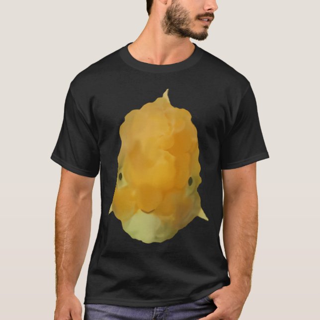 Camiseta Dorado (Anverso)