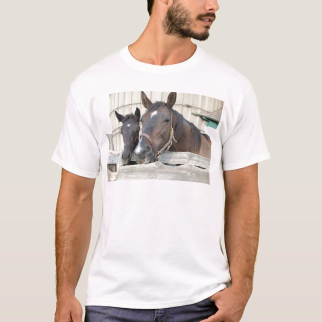 Camiseta Dos caballos mastican una cerca (Anverso)