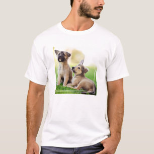 Camiseta Dos cachorros de pastor alemanes