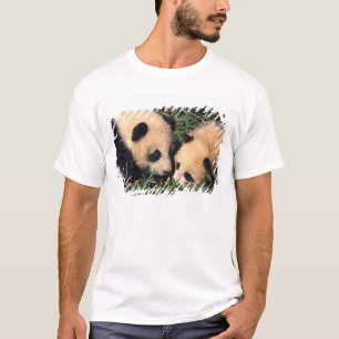 Camiseta Dos crías de panda en el arbusto de bambú, Wolong,
