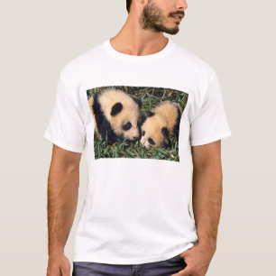 Camiseta Dos crías de panda en el arbusto de bambú, Wolong,