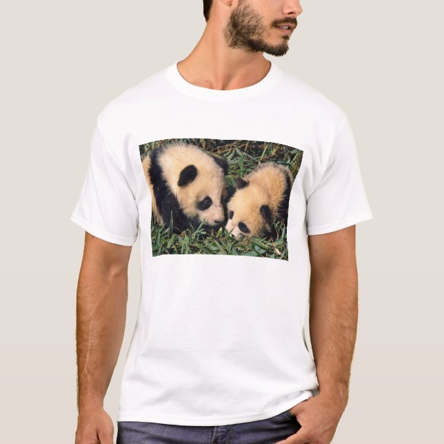 Camiseta Dos crías de panda en el arbusto de bambú, Wolong, (Anverso)