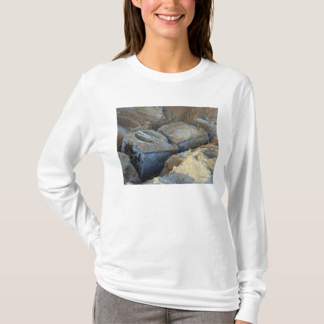 Camiseta Dos dispositivos de tipo caja empaquetados (Anverso)