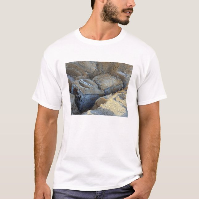 Camiseta Dos dispositivos de tipo caja empaquetados (Anverso)