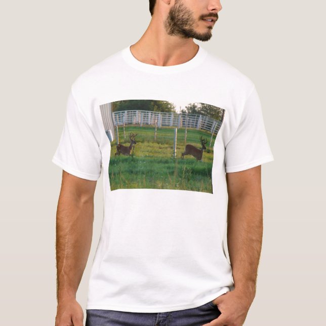 Camiseta Dos dólares (Anverso)