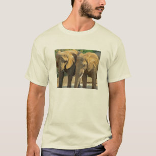 Camiseta Dos Elefantes