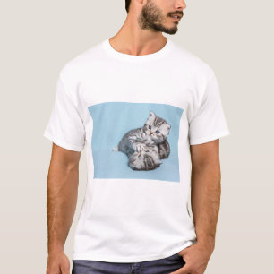 Camiseta Dos gatitos de mesa negros de plata jugando juntos