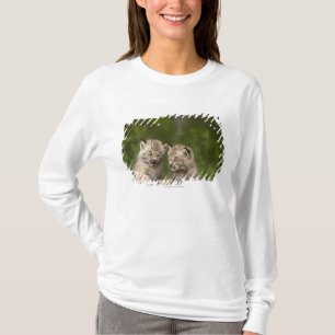 Camiseta Dos gatitos del lince de Canadá que juegan en un