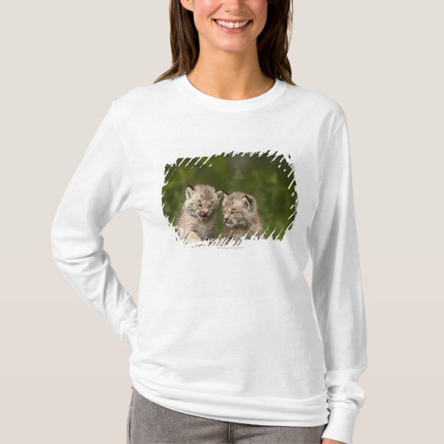 Camiseta Dos gatitos del lince de Canadá que juegan en un (Anverso)