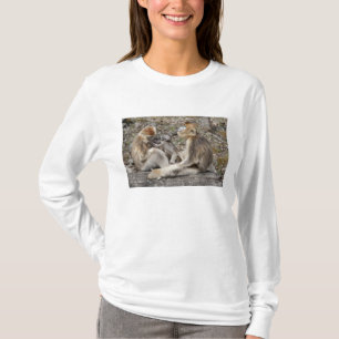 Camiseta Dos monas doradas hembras con recién nacidos
