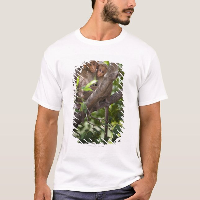 Camiseta Dos monos en un árbol (Anverso)