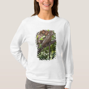 Camiseta Dos monos en un árbol