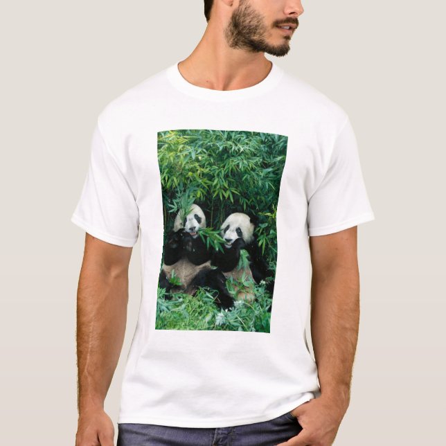 Camiseta Dos pandas comiendo bambú juntos, Wolong (Anverso)