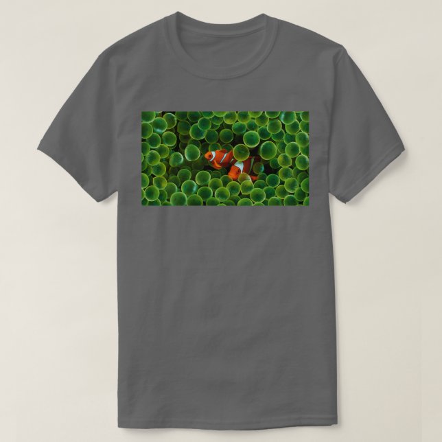 Camiseta dos peces payasos (Diseño del anverso)